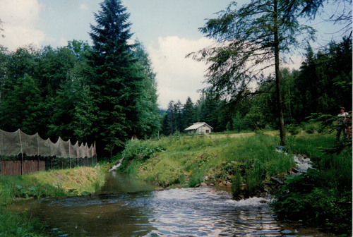 Łowisko